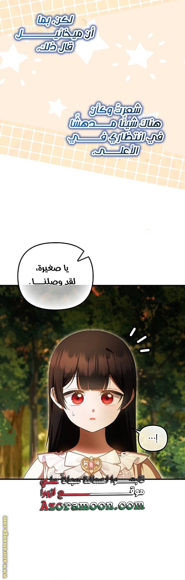 الصفحة 25