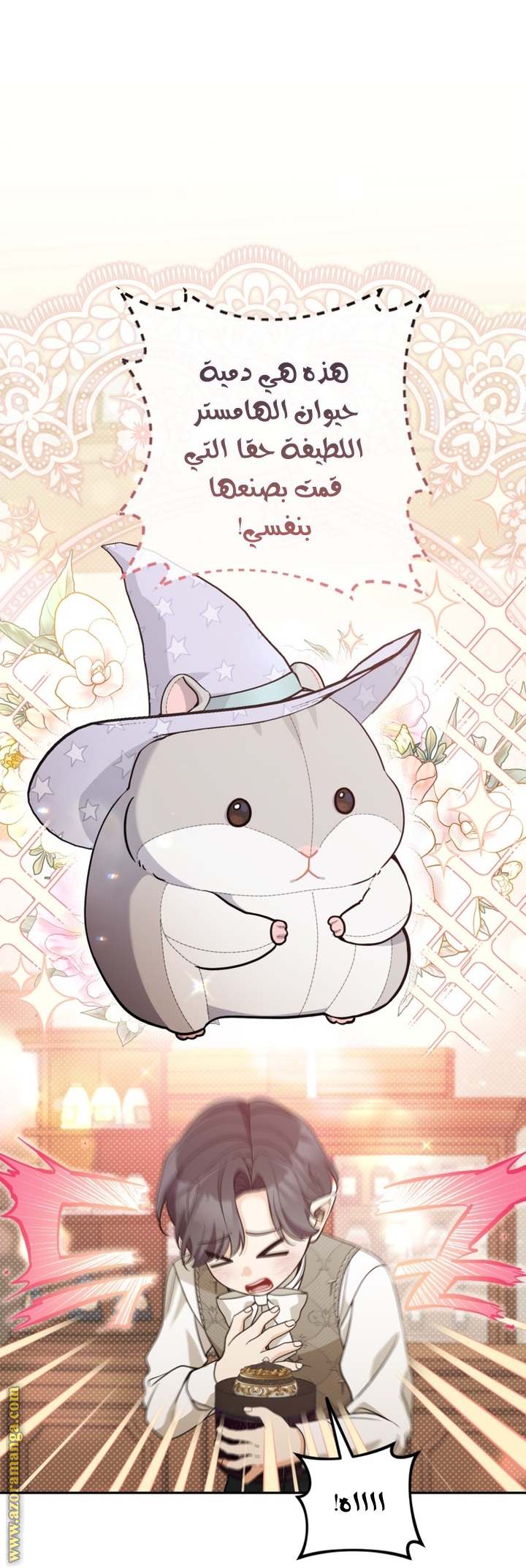 الصفحة 17