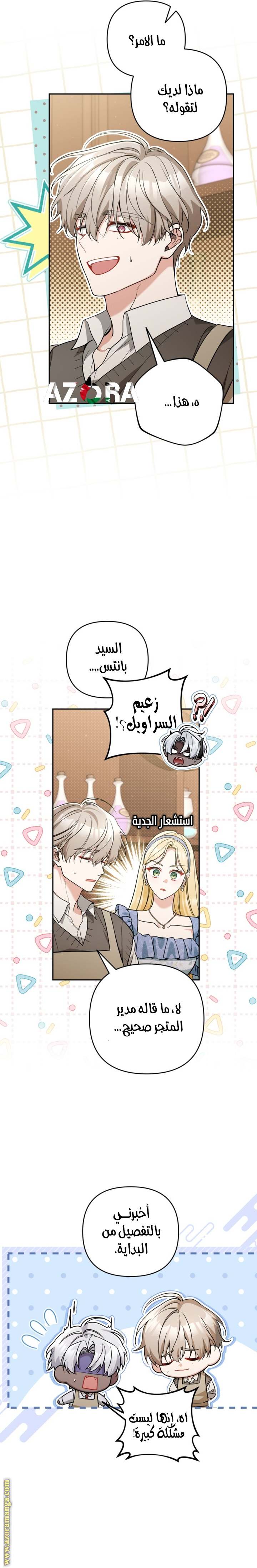 الصفحة 17