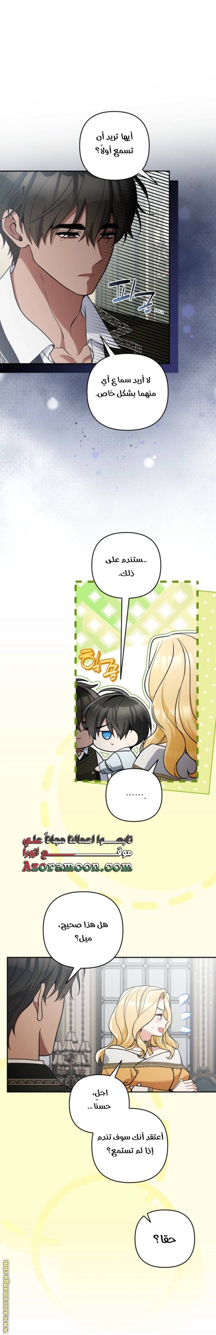 الصفحة 17