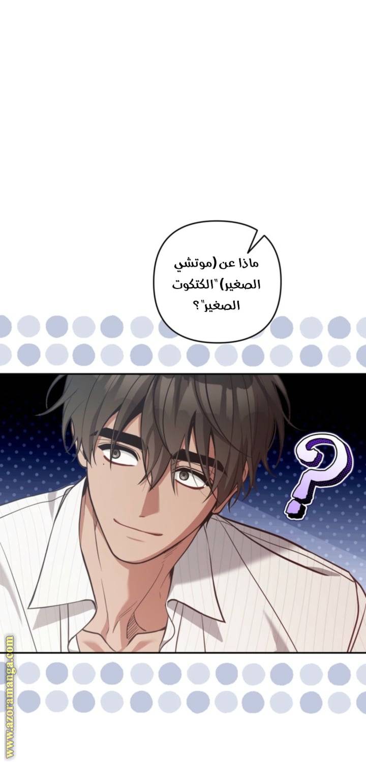 الصفحة 27