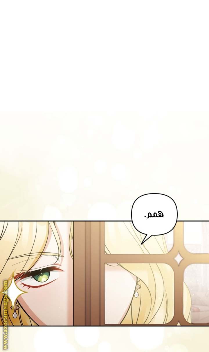 الصفحة 29