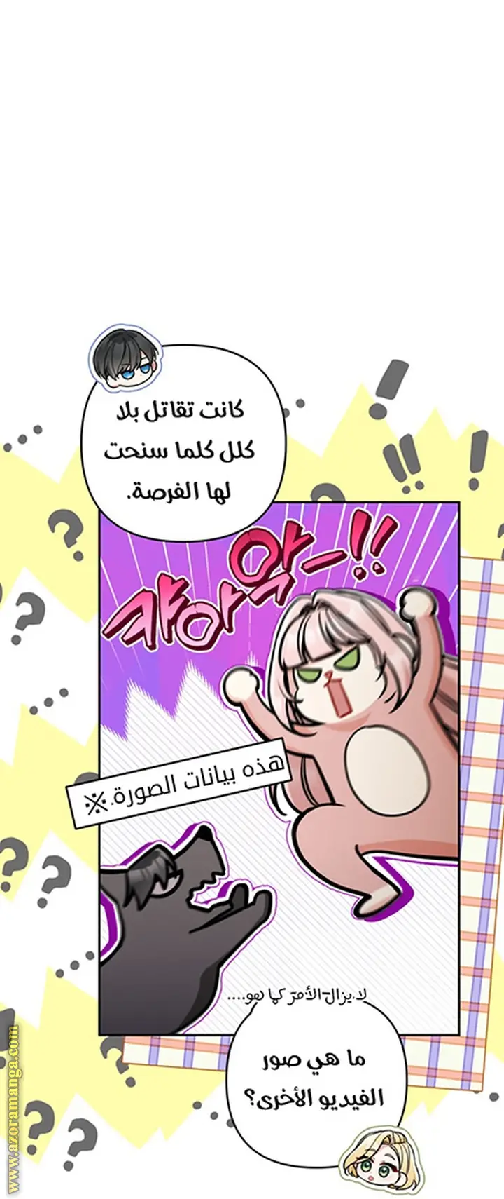 الصفحة 19
