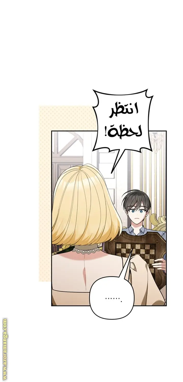 الصفحة 27