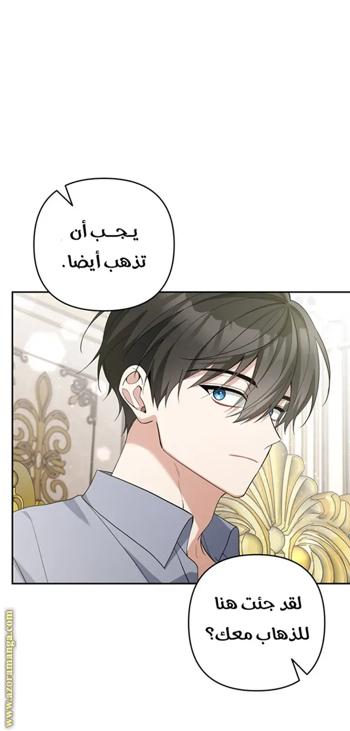 الصفحة 31