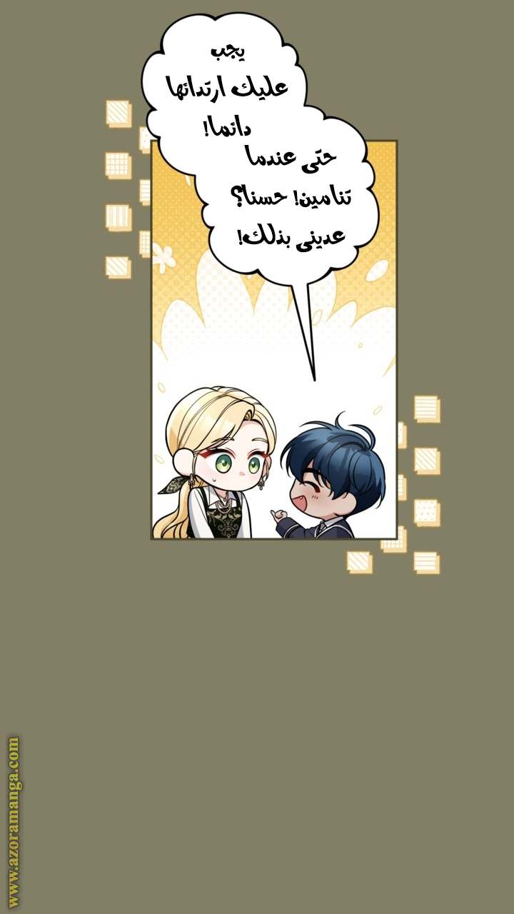 الصفحة 17