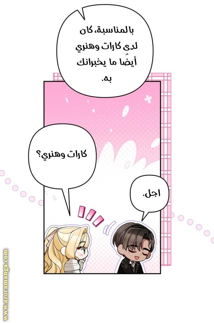 الصفحة 26