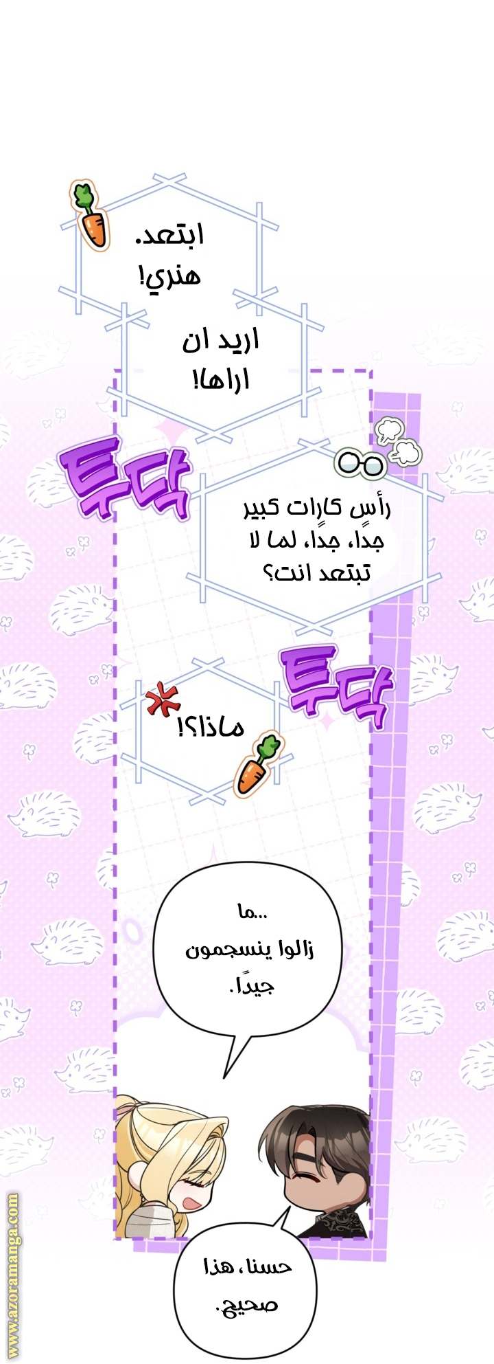 الصفحة 29