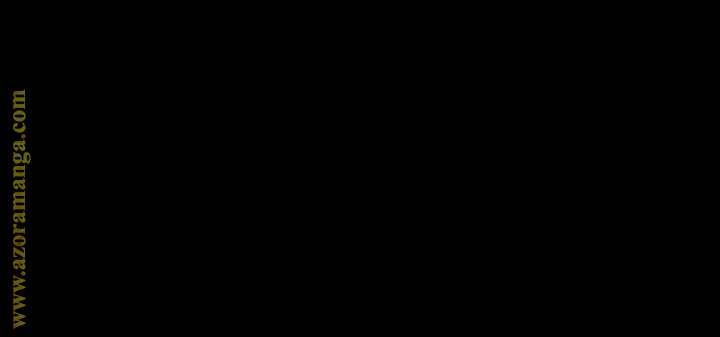 الصفحة 43
