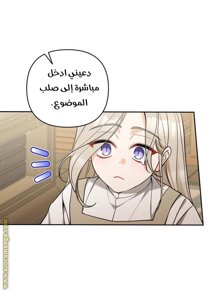 الصفحة 27