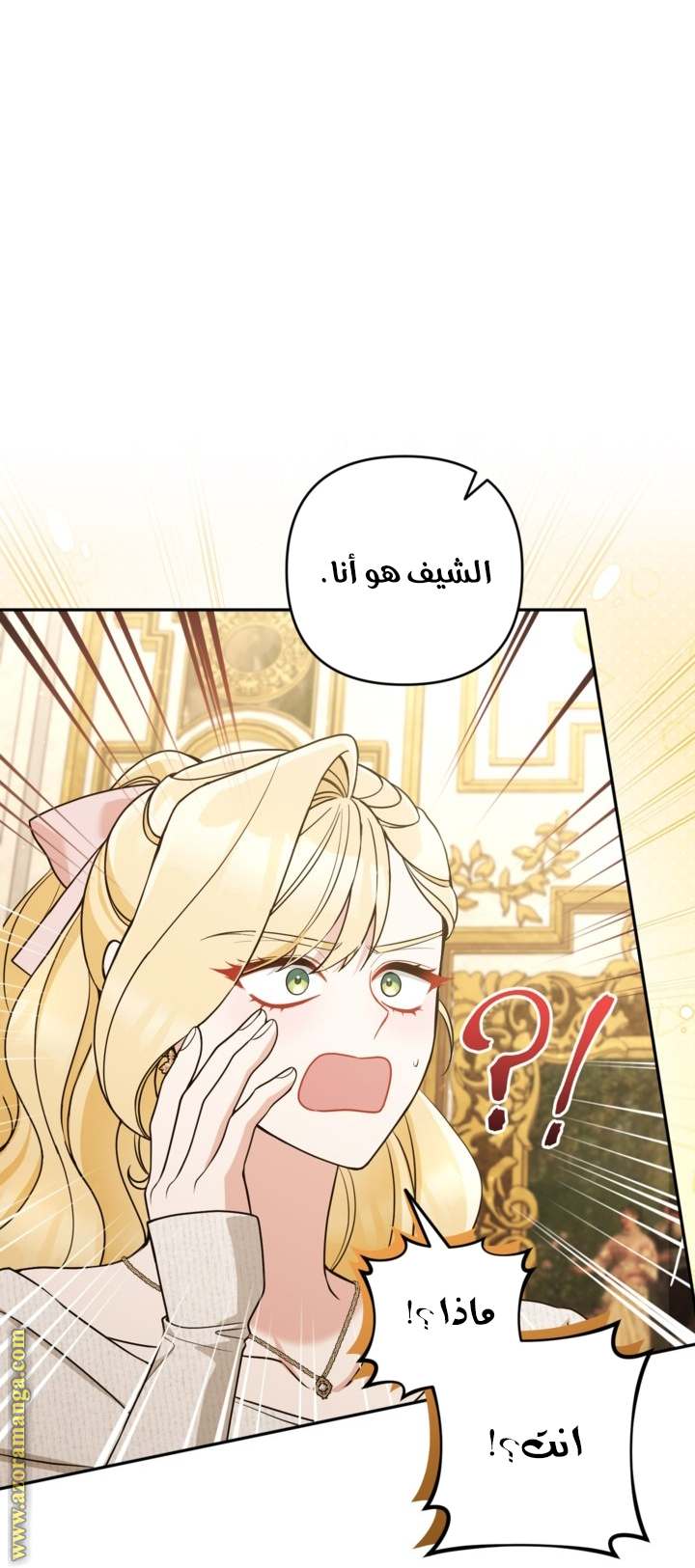 الصفحة 25