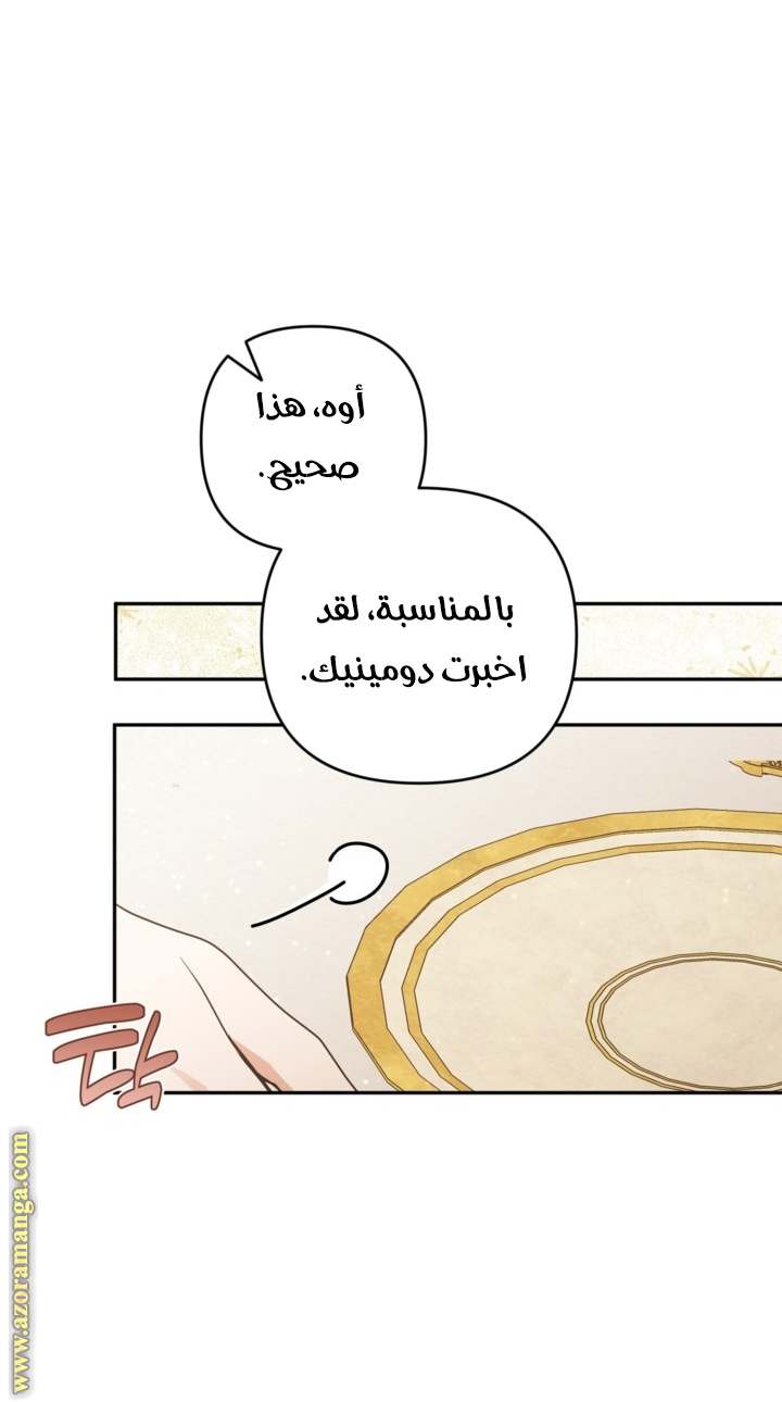 الصفحة 31