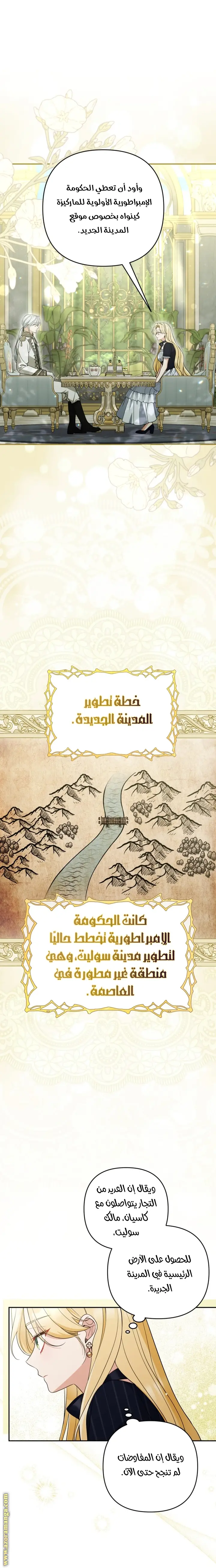 الصفحة 17