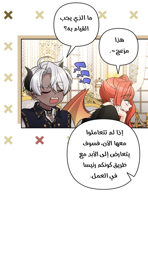 الصفحة 17