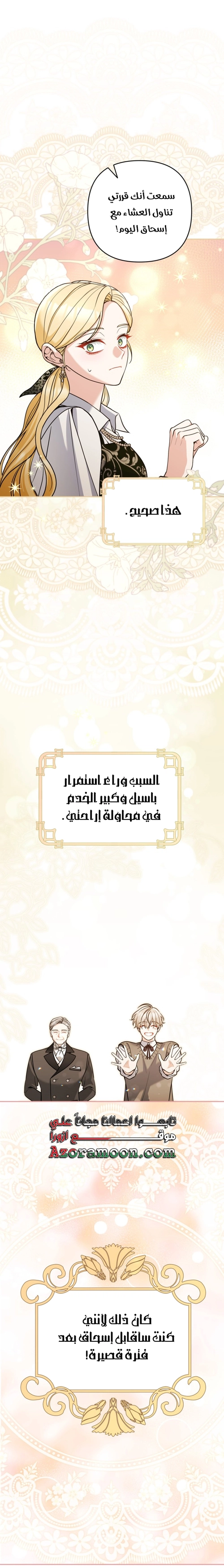 الصفحة 29
