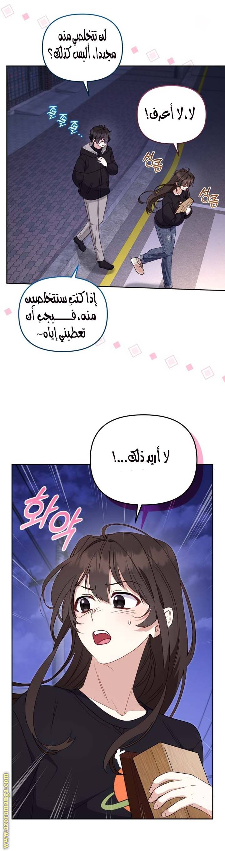 الصفحة 17