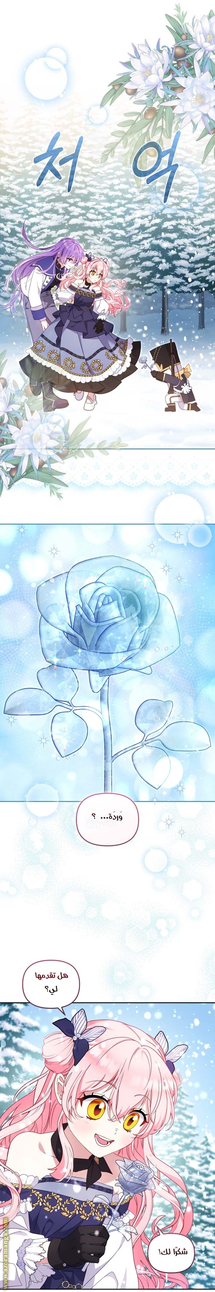 الصفحة 25