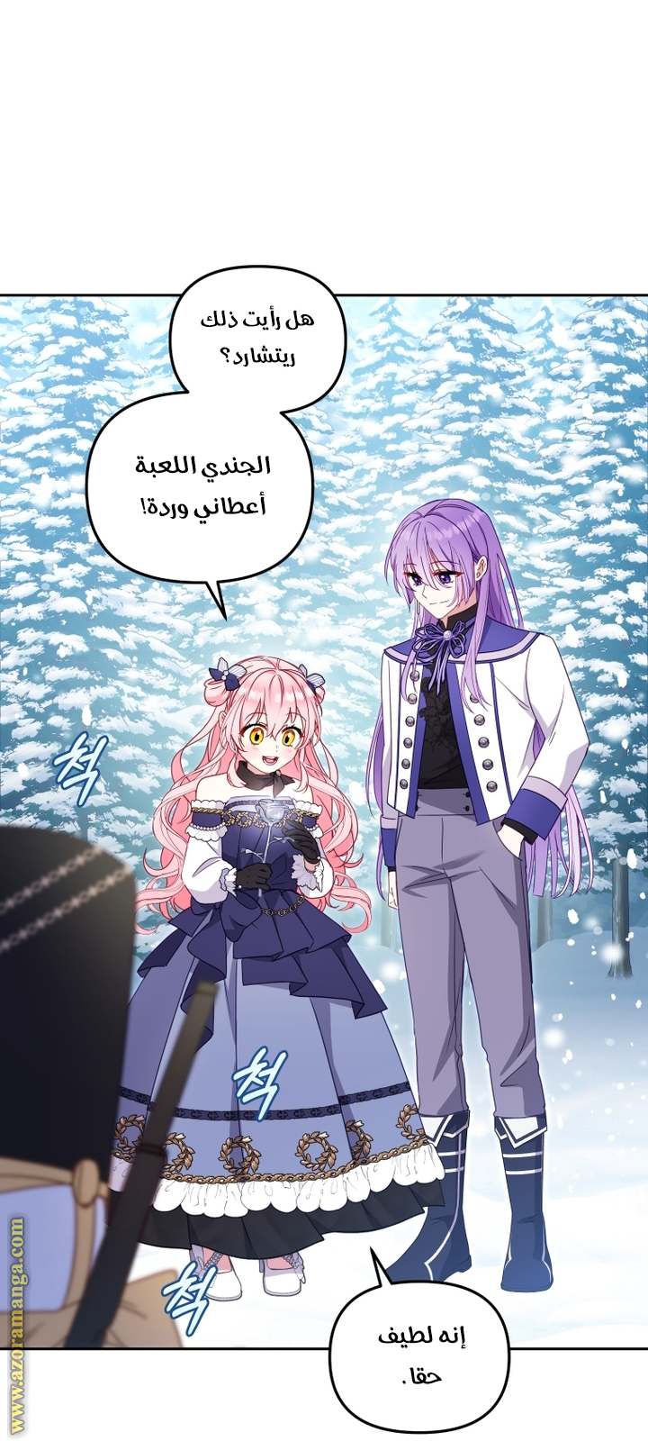 الصفحة 27