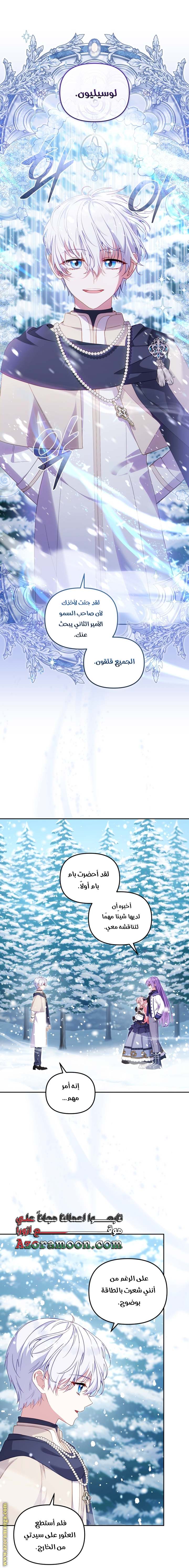 الصفحة 39