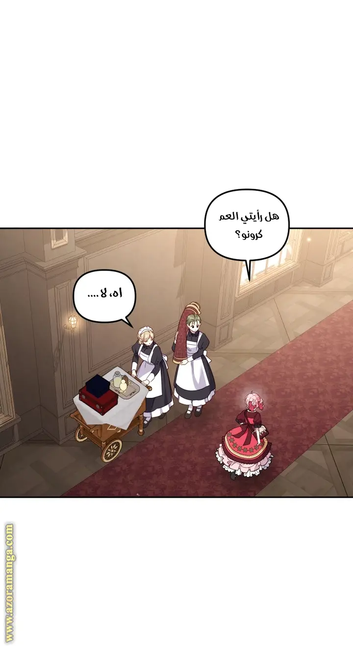 الصفحة 29