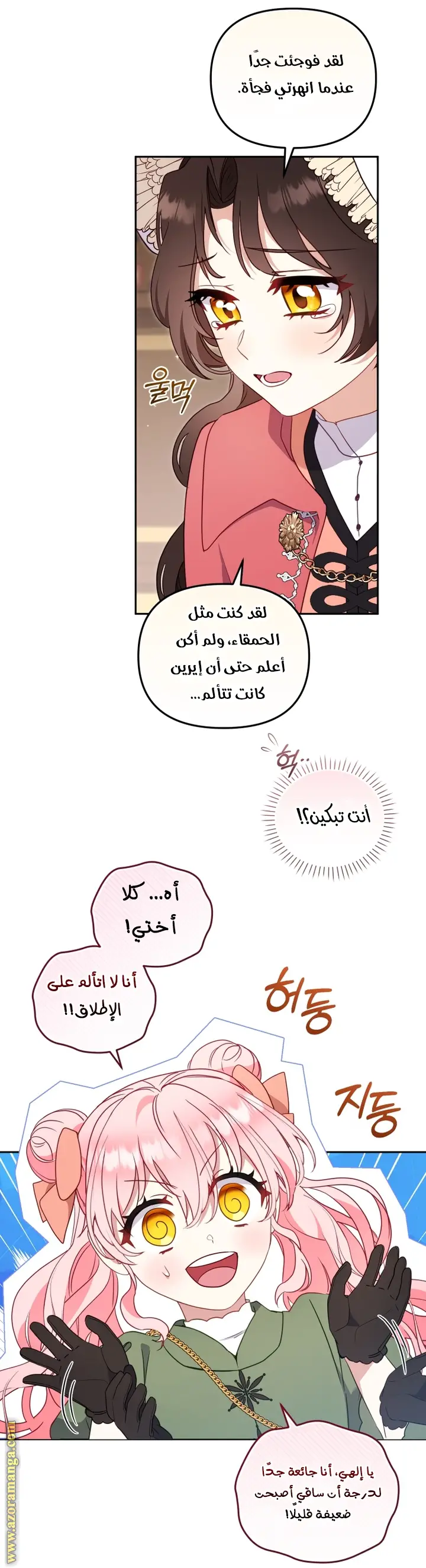 الصفحة 41