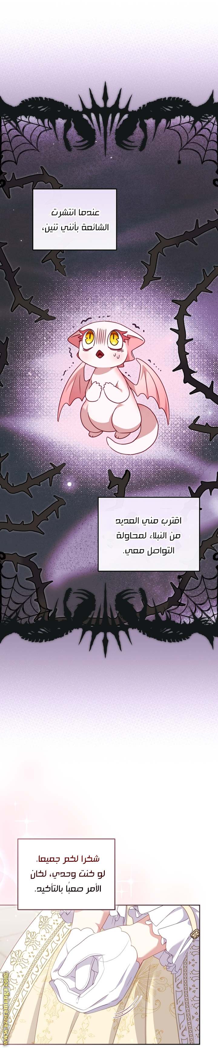 الصفحة 13