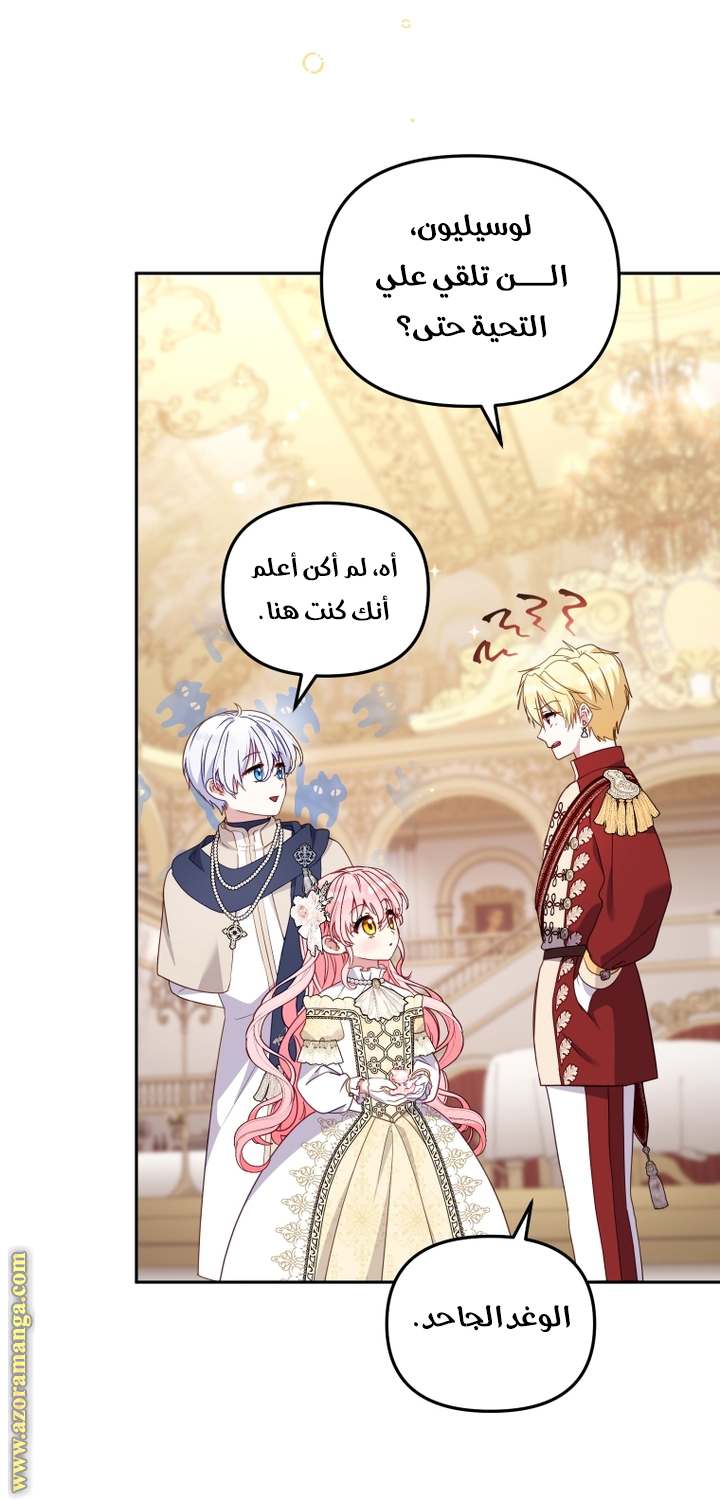 الصفحة 29