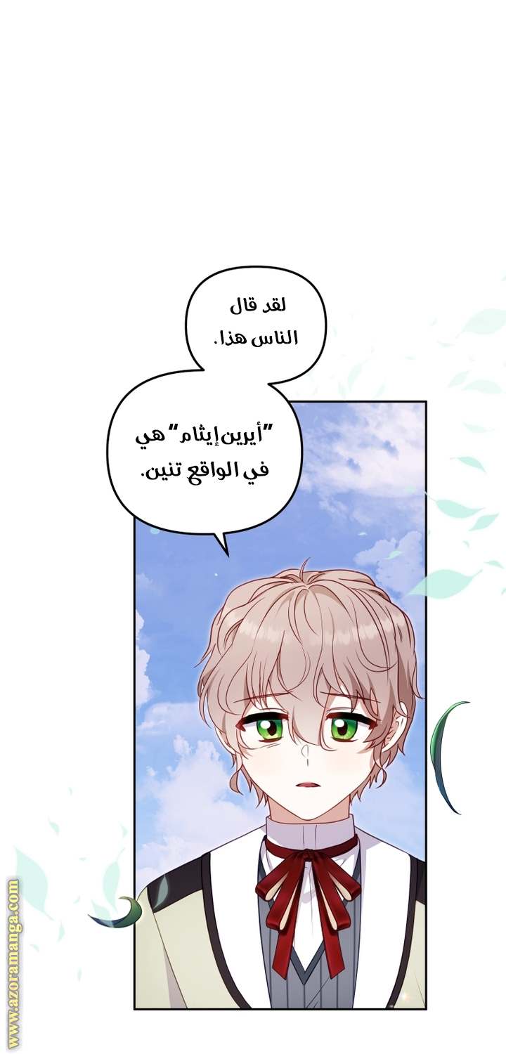 الصفحة 47