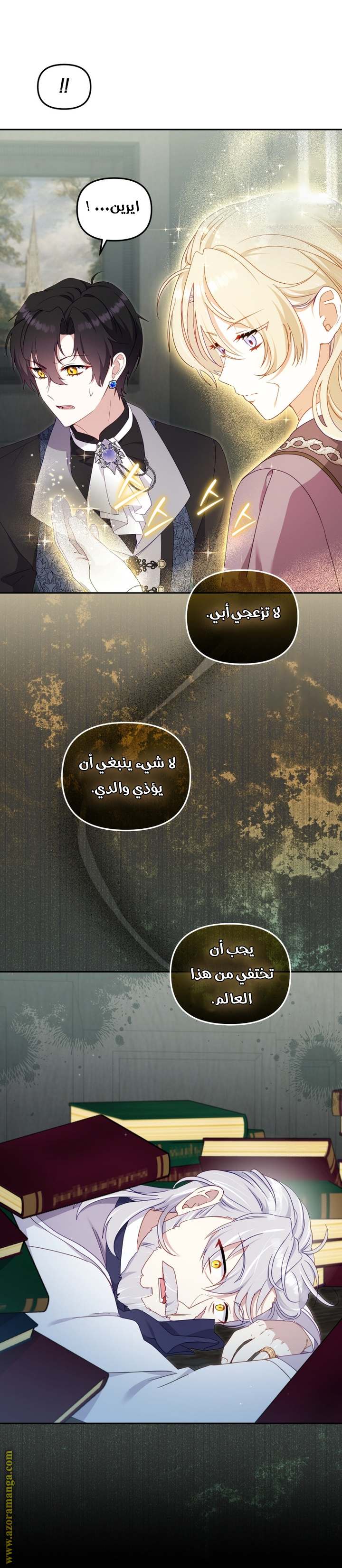 الصفحة 3