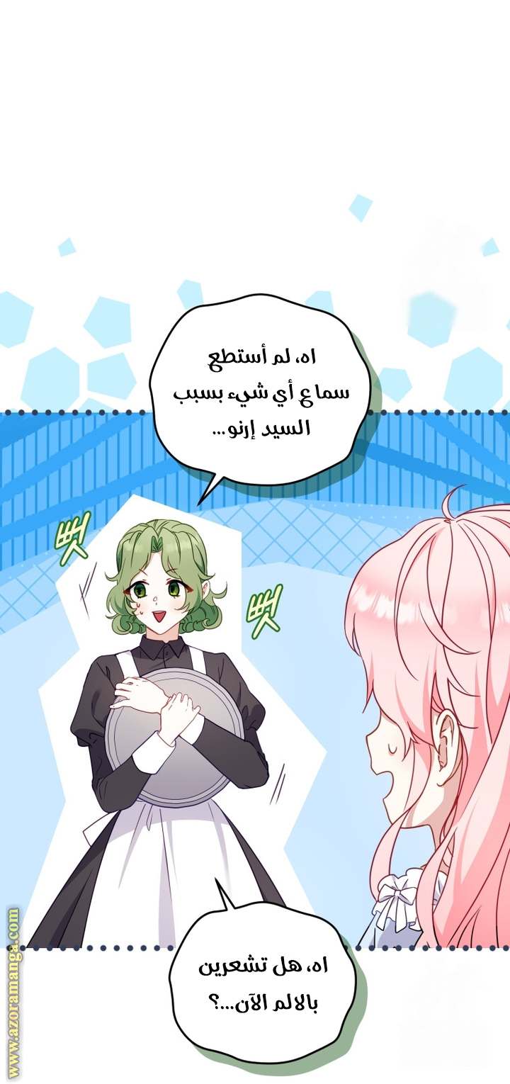 الصفحة 25