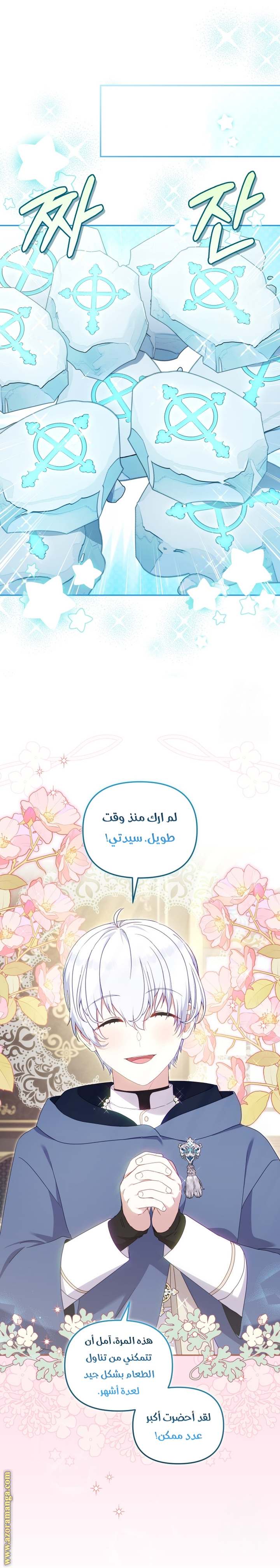 الصفحة 27