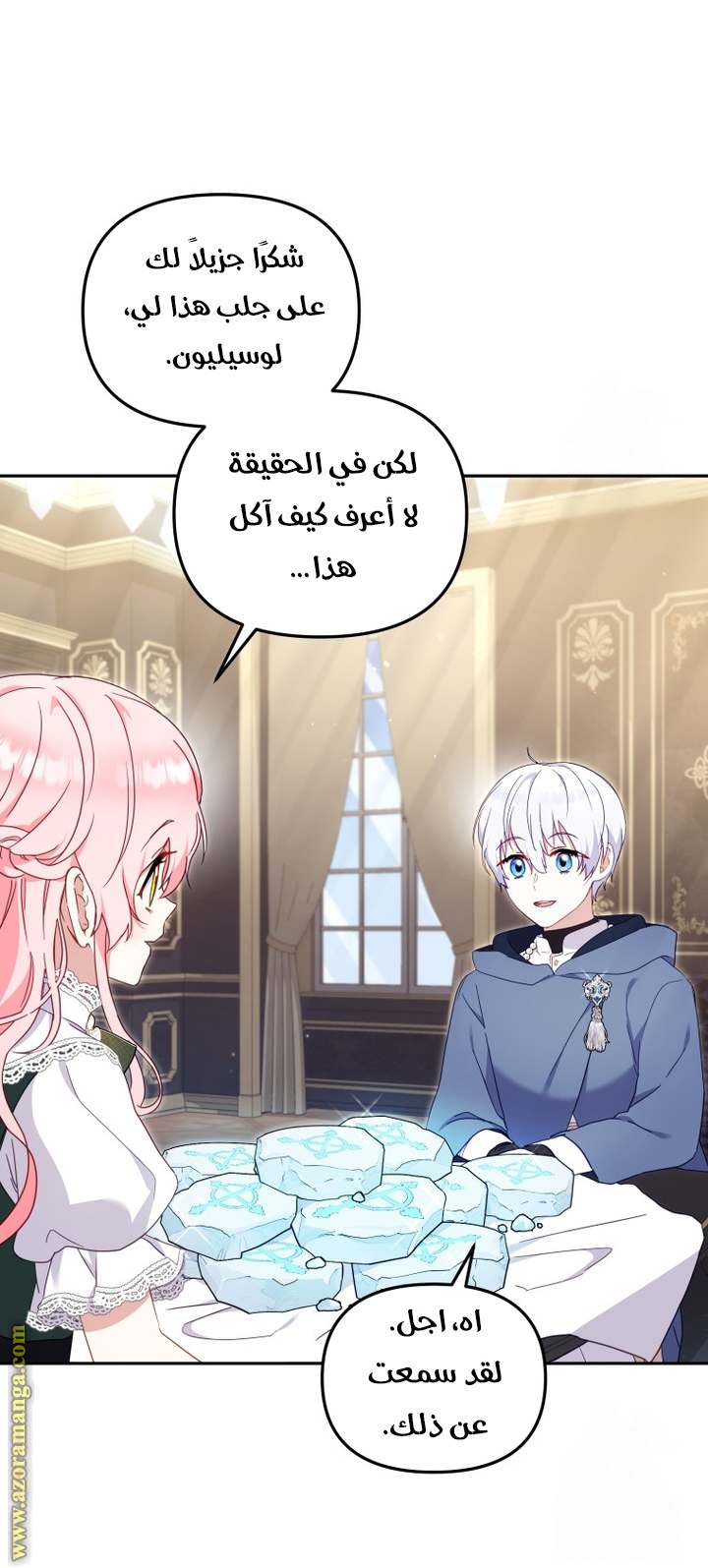 الصفحة 29