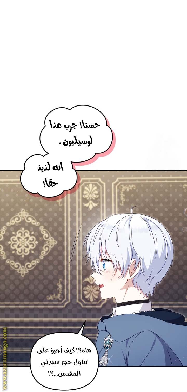 الصفحة 46