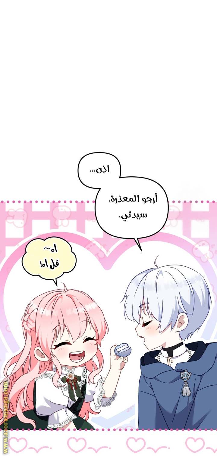الصفحة 48