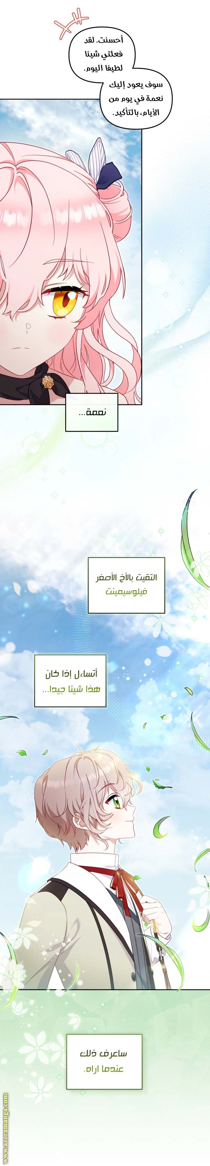 الصفحة 13