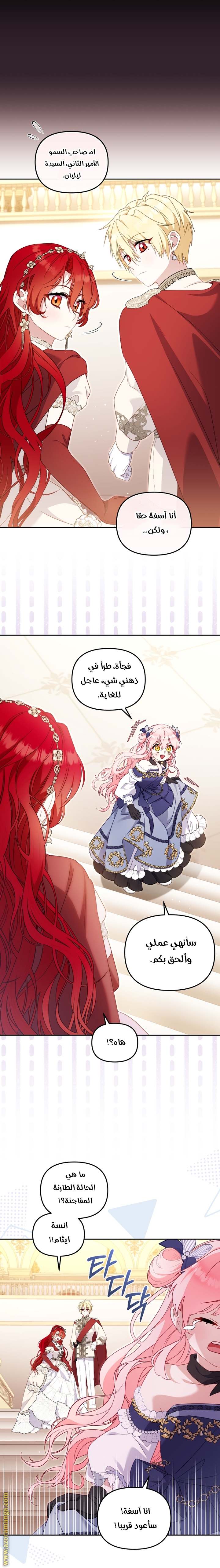 الصفحة 29