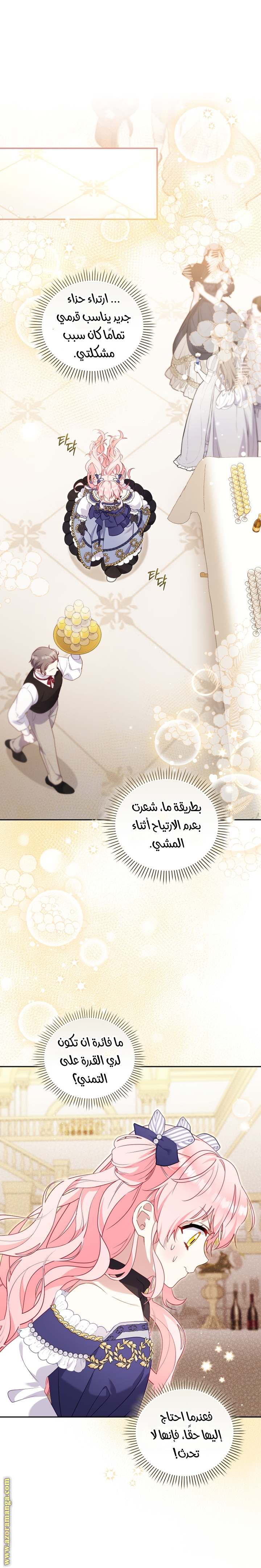 الصفحة 30