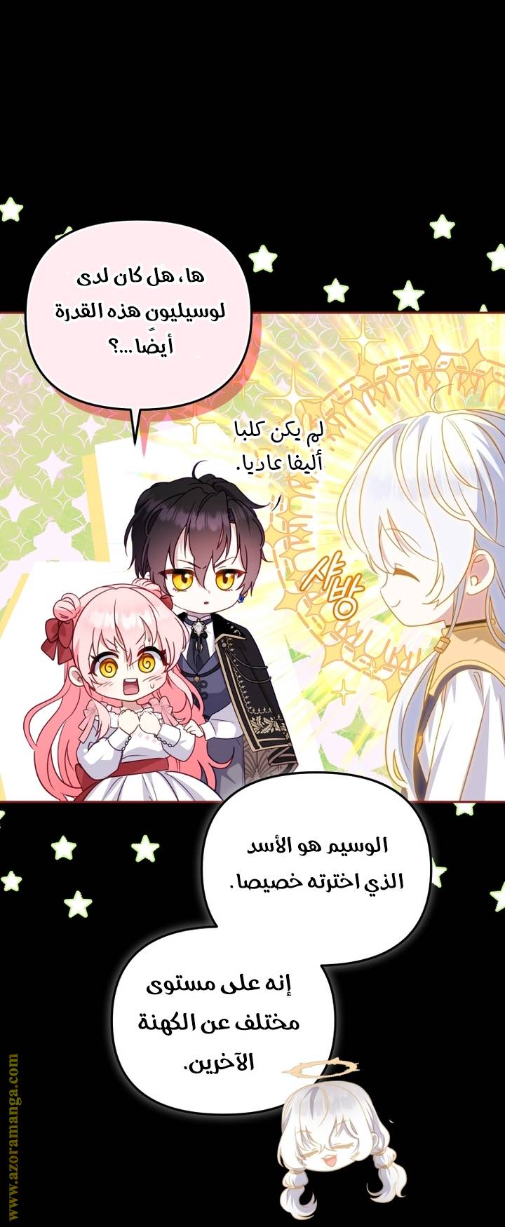 الصفحة 17