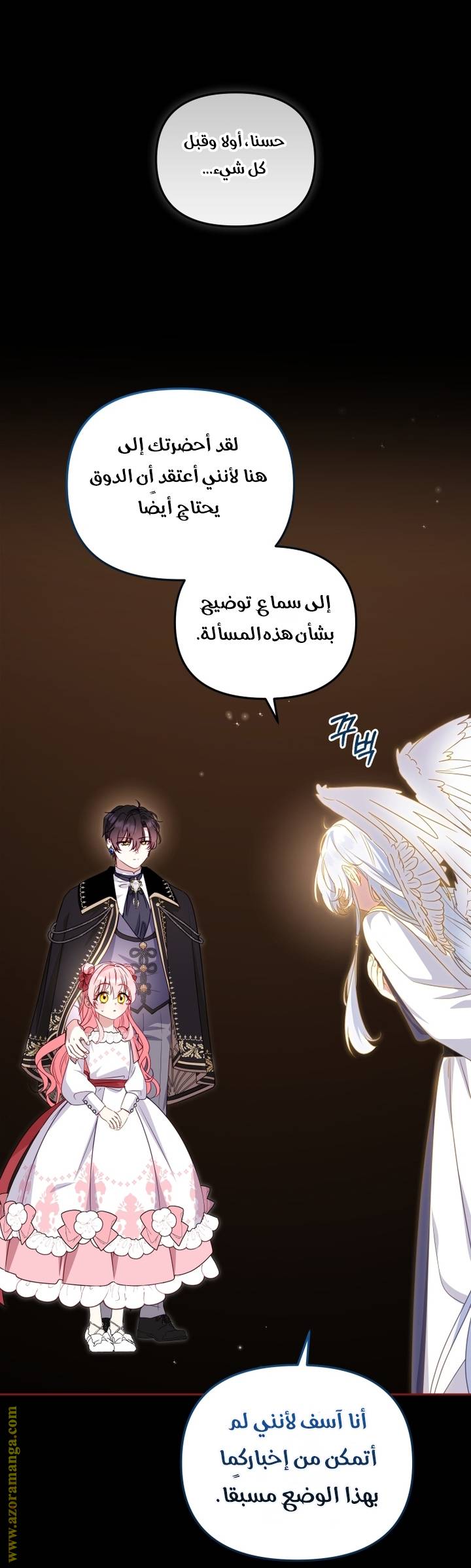 الصفحة 19