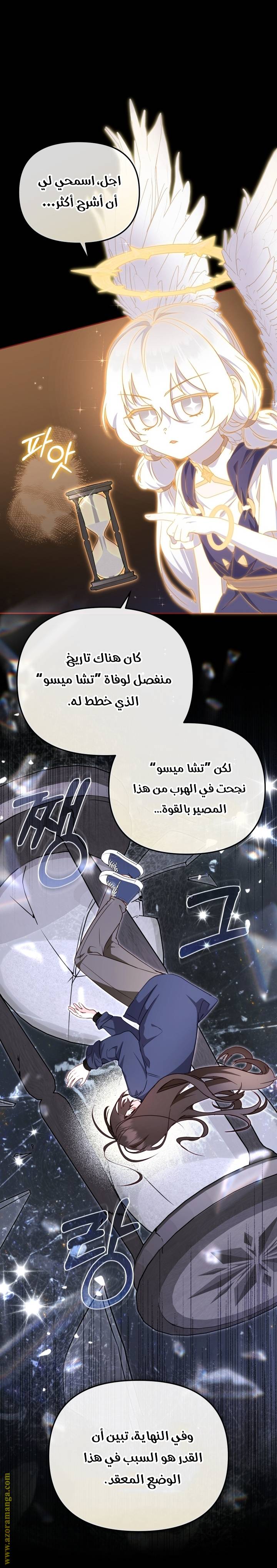 الصفحة 29