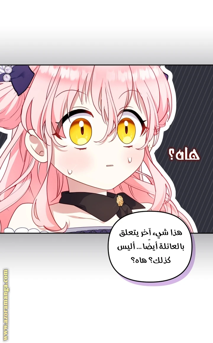 الصفحة 33