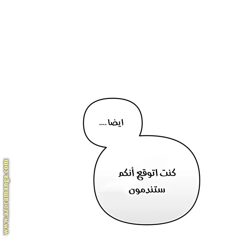 الصفحة 25