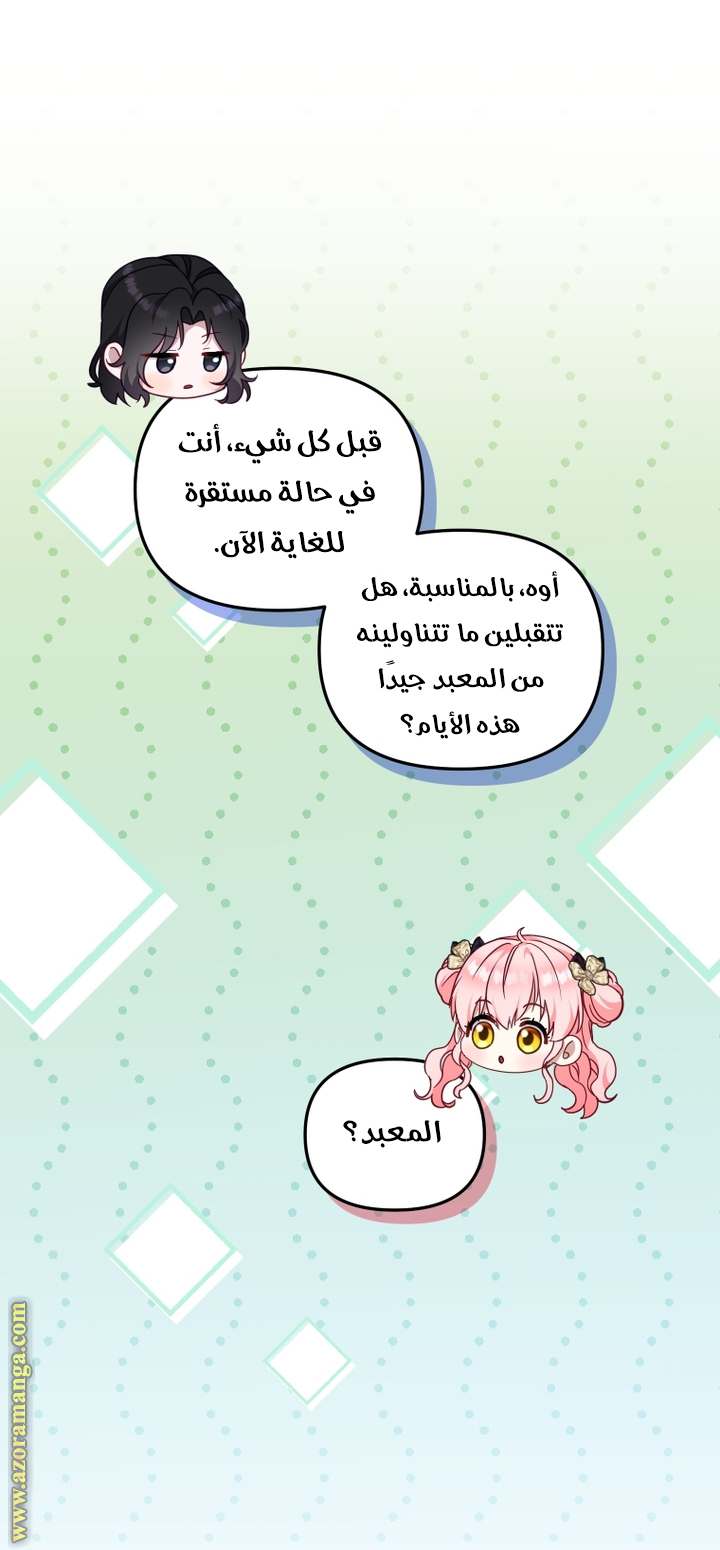 الصفحة 20