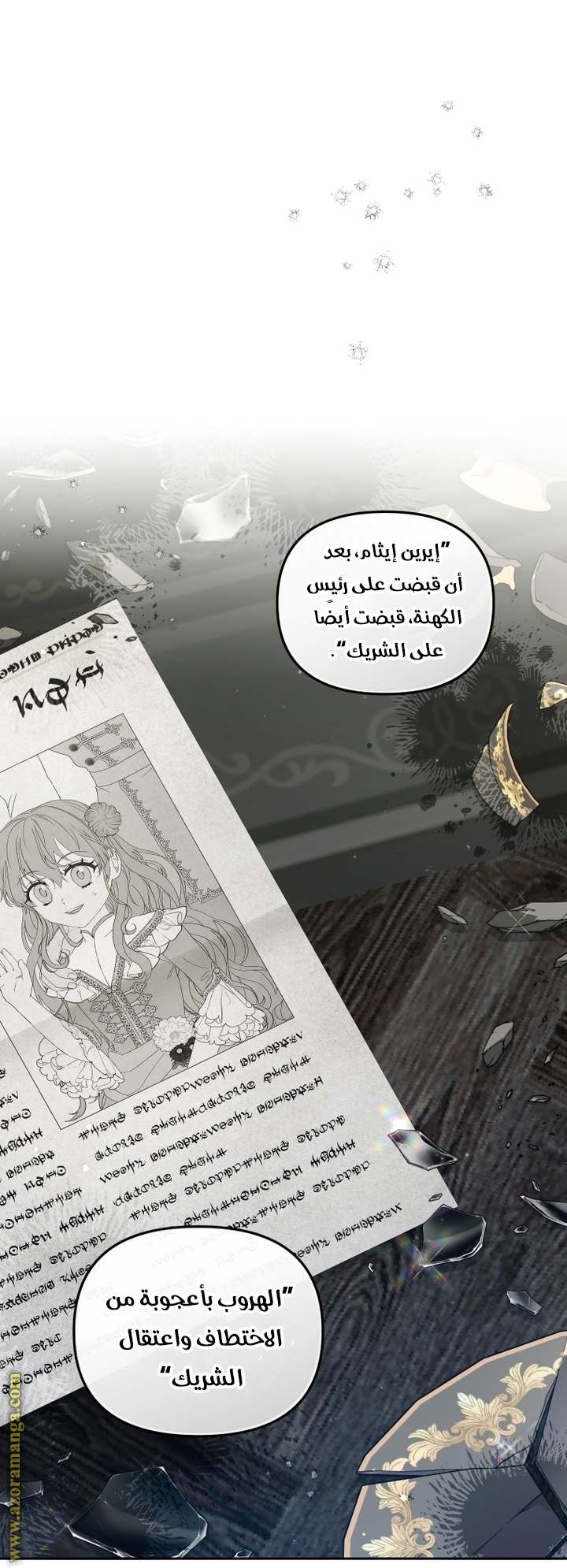 الصفحة 27