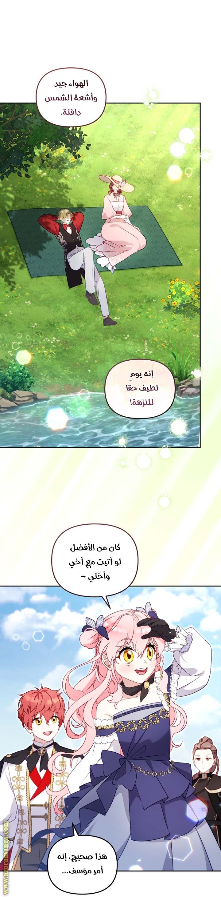 الصفحة 29