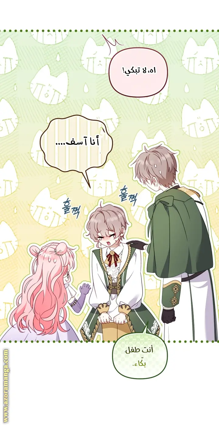 الصفحة 17
