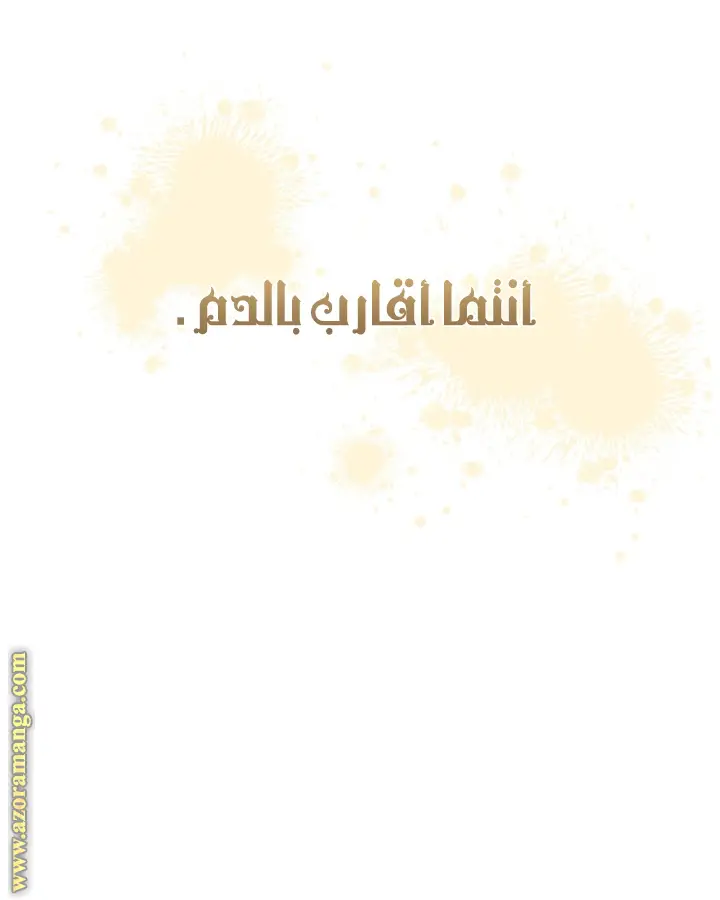 الصفحة 29