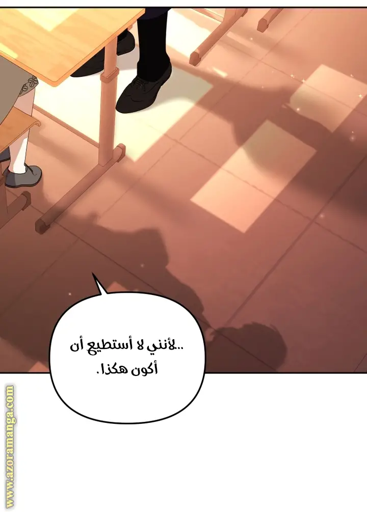 الصفحة 29