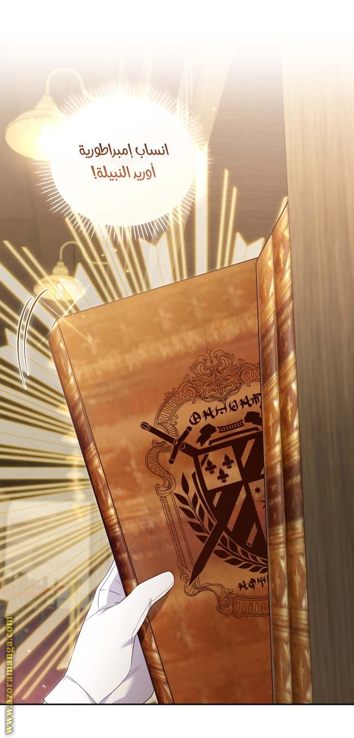 الصفحة 25