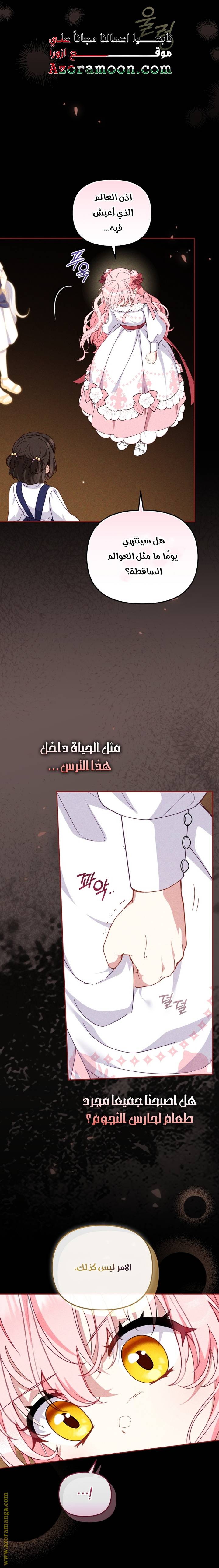 الصفحة 25